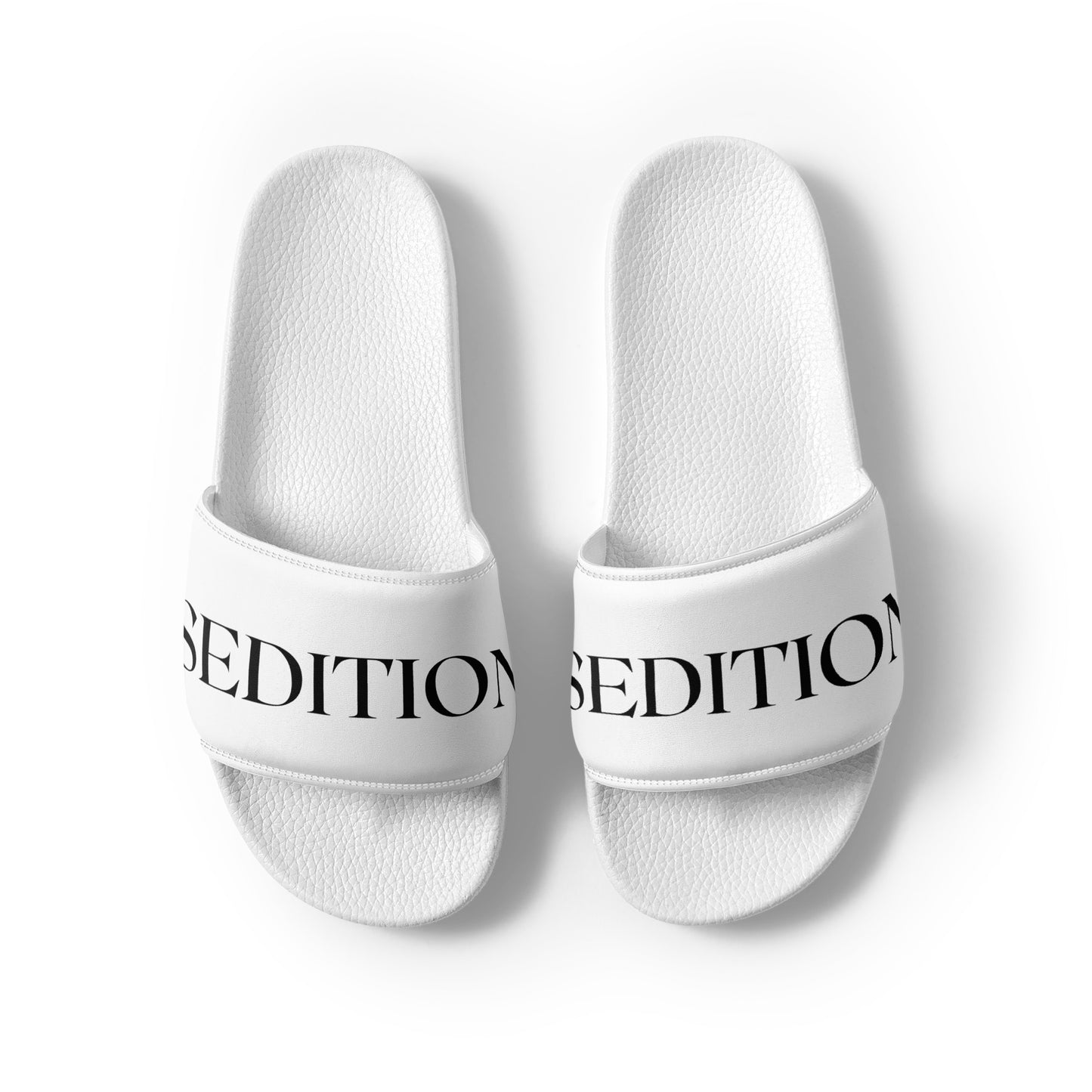 SEDITION slides