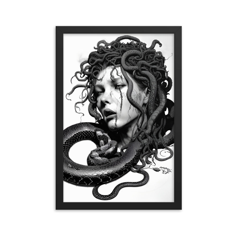 MEDUSA framed