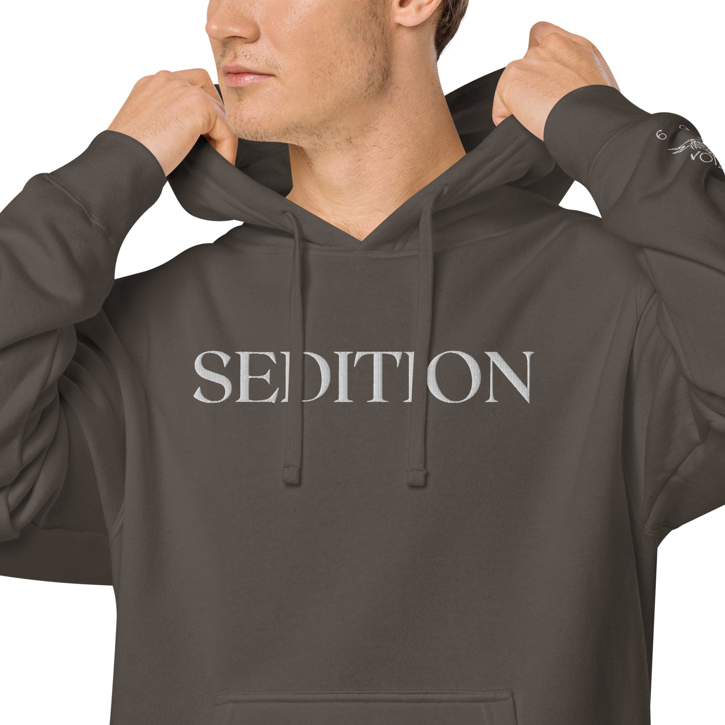 SEDITION embroidered pigment-dyed hoodie